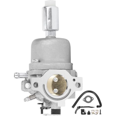Kit de Réparation Carburateur pour Moteurs Briggs & Stratton (Séries 31C/D/E) (1/5)