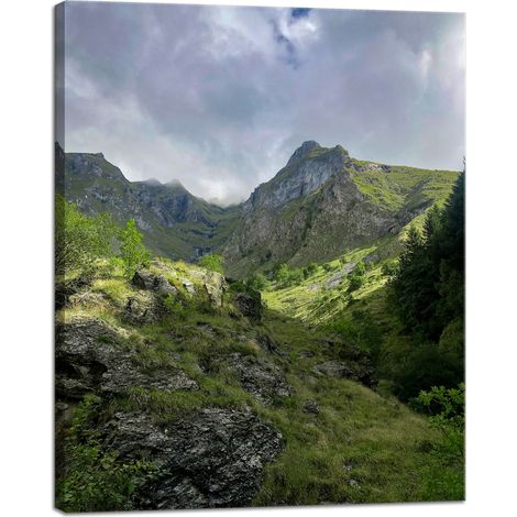 Stampa su tela Natura Montagne Invase dalla Vegetazione 40x50 cm