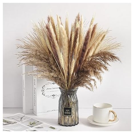 QAZQA 65pcs Herbe de pampa séchée 43 pouces Herbe naturelle de la pampa Boho Décor Pompas Floral Pampa Herbe Décor Grand Parfait pour la décoration intérieure Décor de mariage et arrangement floral, e (1/5)