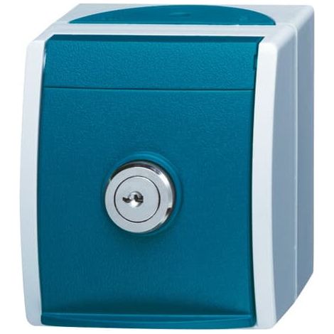 Busch-Jaeger Enchufe SCHUKO® con tapa abatible y cierre igual 16 A gris/azul verdoso - ocean® (20 EWSL-101-53), 2CKA002083A0823