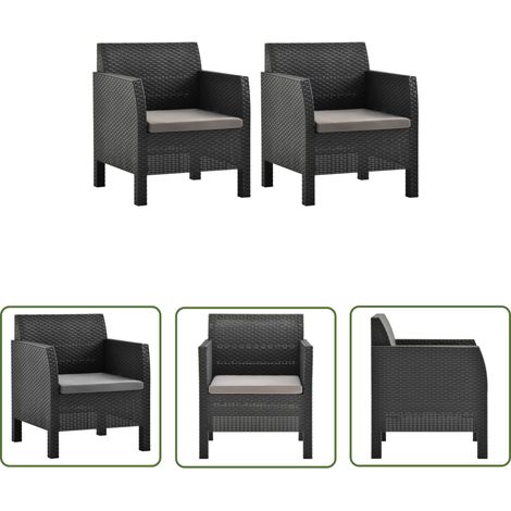 The Living Store Chaises de jardin avec coussins lot de 2 PP Rotin Anthracite - Chaise De Jardin - Mobilier De Jardin - Chaise Extérieure - Fauteuil De Jardin - Set De Chaises (1/5)