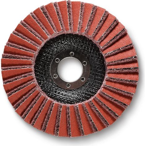 Fein  5x  Fächerschleifscheibe  Ø  125  mm  grob  63730020010