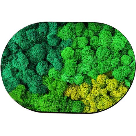 Soldes d'été  Tapis de bain ultra-absorbant avec envers en caoutchouc antidérapant, séchage rapide et lavable, à placer devant la baignoire - Liquidation