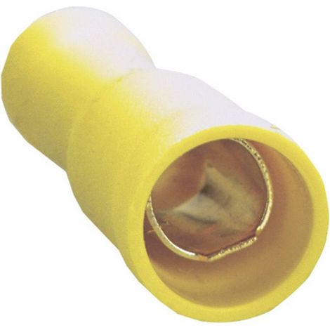 SINUS LIVE RUNDSTECKHUELSE 4 FINO A 6 MM (1/2)