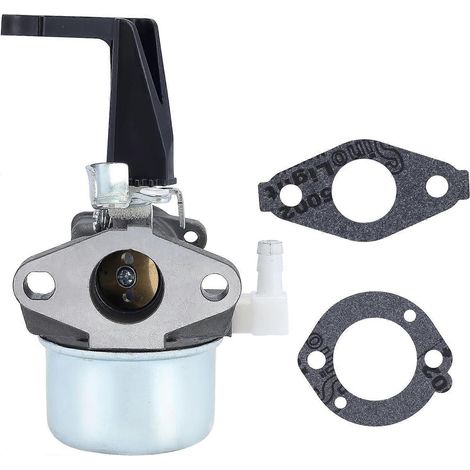 Carburateur Bluezoo 696065 (remplace 215369 et 697422) pour moteurs Brigs & Stratton 110402 et 110412 (6 CV, 6,5 CV, 5 CV, 5,5 CV et 7 CV), moteurs Intek, motoculteurs et nettoyeurs haute pression. (1/5)