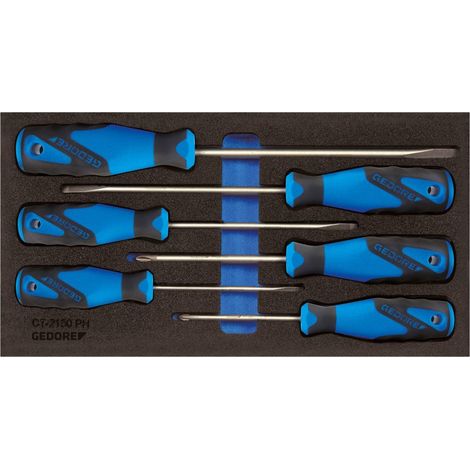 Tournevis dans module Check-Tool (1/4)