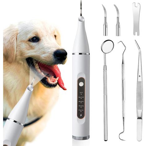 Rimuovi placca per cani, set per la pulizia dei denti degli animali domestici, pulitore per denti a 5 impostazioni, strumenti per rimuovere placca e tartaro, sicuro per cani e gatti, bianco (1/5)