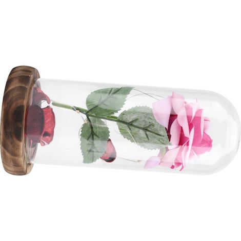 Roses préservées sous cloche en verre, roses rouges, un cadeau romantique pour la Saint-Valentin, piles incluses. (1/5)