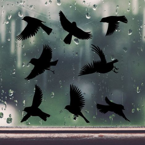 Stickers Anti Collision Oiseaux 8cm, 8PCS Stickers Fenetre Electrostatique PVC Autocollants, Noir Autocollant pour Vitre pour la Protection des Oiseaux (1/5)
