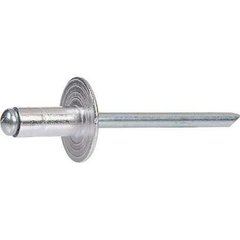 Rivet tête large - diamètre 4,8 mm - 10 mm - Boîte de 500 - Rifix