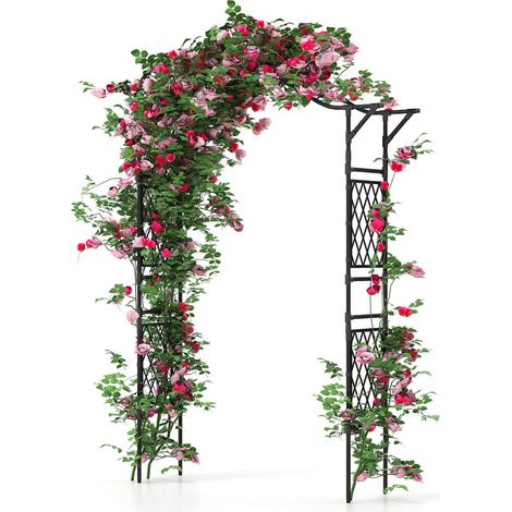 Montage Facile Sans Outils Arche de Jardin en Métal Treillis Support pour Plantes Grimpantes et Fleurs Noir (1/5)