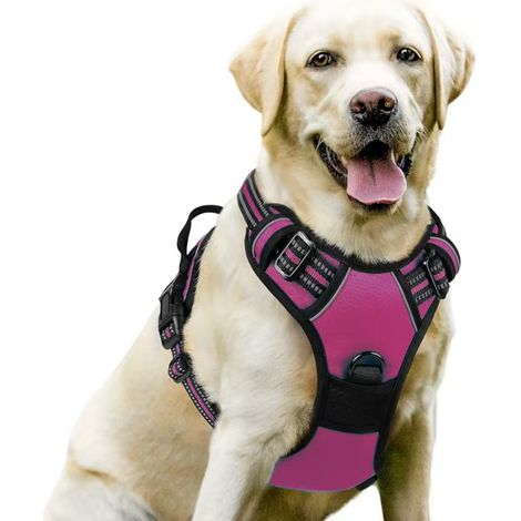 harnais chien – Harnais pour chien moyen à grand – Réglable et réfléchissant – Attache avant pour anti traction – Taille L, tour de cou 46-66 cm, tour de poitrine 38-89 cm-Rose rose