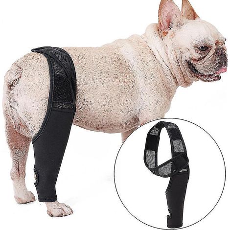 Genouillère ajustable pour chien (ligament croisé antérieur, luxation du genou, arthrite) - Offre un soutien supplémentaire, réduit la douleur et l'inflammation - Maintient les articulations au chaud