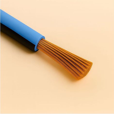 Cavo Filo Unipolare FLRY-B ISO 6722 Classe B Sez. 1,00 Azzurro/nero