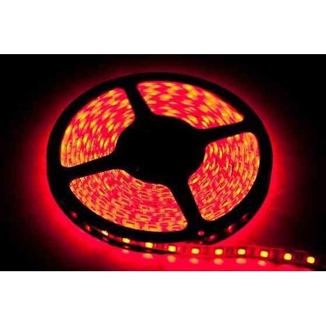 Ruban LED rouge 2,5 m 12W 12V IP65 EKPL735 Eko-Light