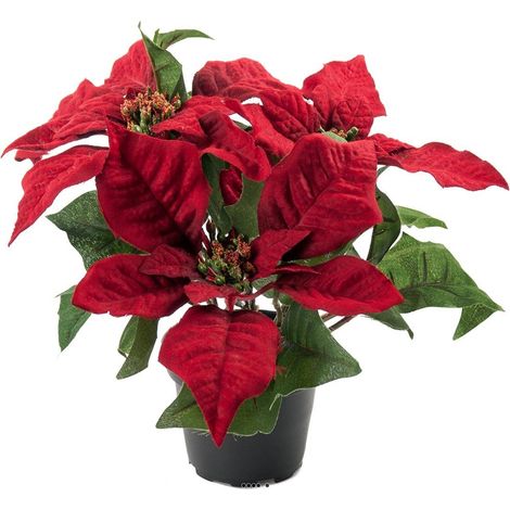 Poinsettia artificiel en Pot H 26 cm très dense 5 fleurs Rouge - couleur: Rouge (1/2)