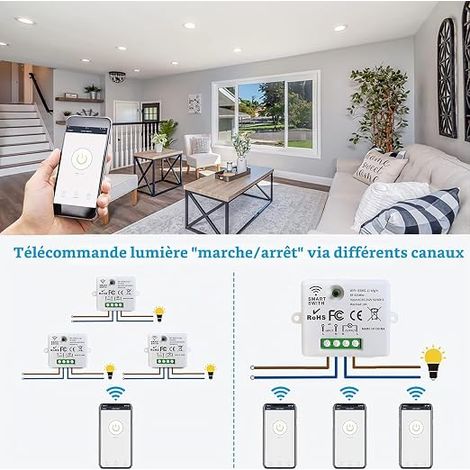 Mini commutateur WiFi sans fil récepteur de télécommande de relais RF 2500W 10A contrôle intelligent par téléphone (1/3)