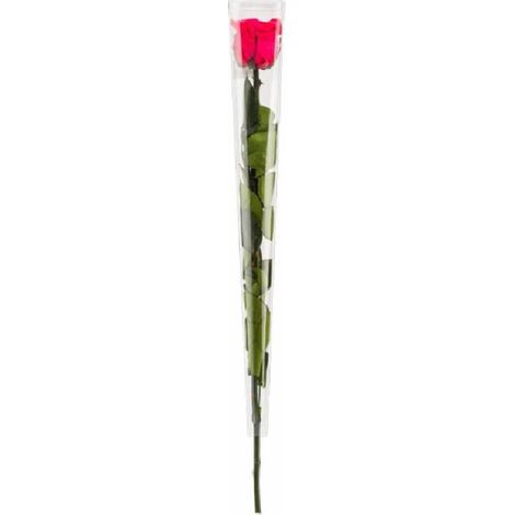 Rose en tige stabilisée Coloris fuschia (1/2)