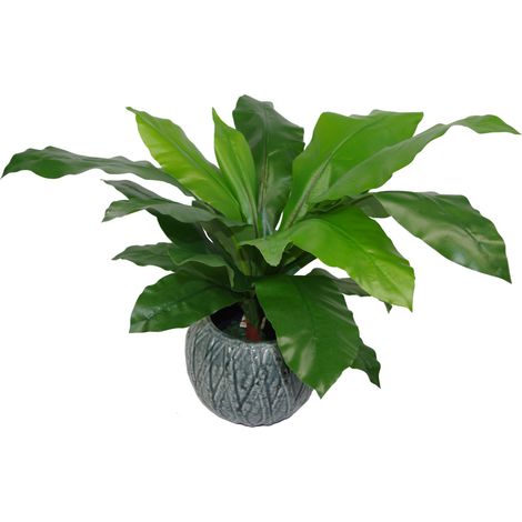 60cm Bushy Large Artificial Bird's Nest Fern Plant (1/5)