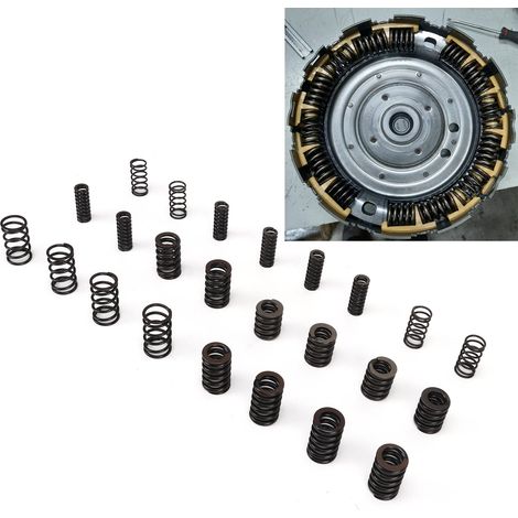 Dämpferfedernsatz für das Getriebe von Volvo und Ford Powershift 6DCT450 MPS6 (1/5)