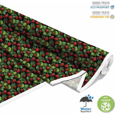 Outdoor dekostoffe oxford - Motiv Obst DX6136 (1/5)