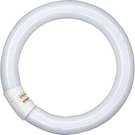 FLUORESCENTE CIRCULAR T9 22W/865 - EHLIS