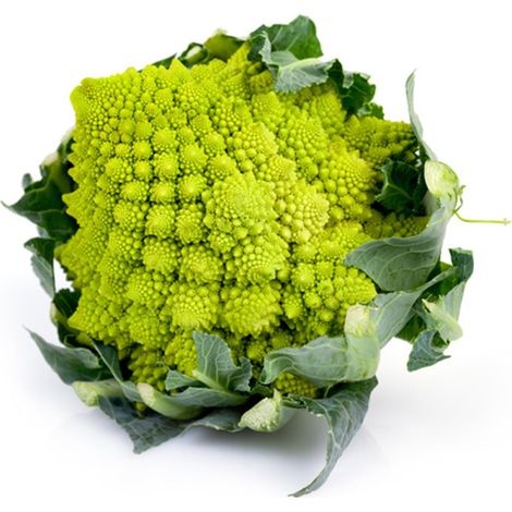 Semi di Cavolo Broccolo Romanesco Natalino piante per orto e giardino