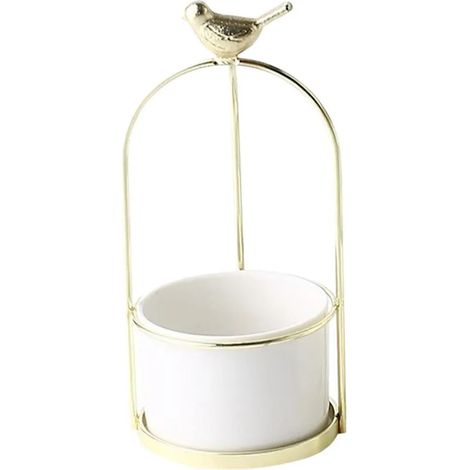 Pot de fleurs hydroponique avec support en fer blanc (1/5)