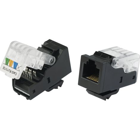 TRU COMPONENTS 93014c936 Modularbuchse, werkzeuglos Buchse, gerade Schwarz 1 St.