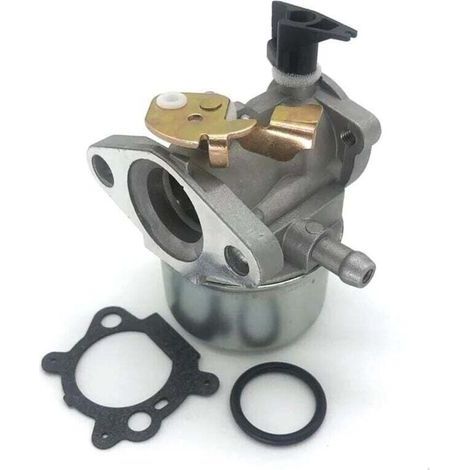 Carburateurs pour moteurs Briggs & Stratton Quantum - pièces détachées pour carburateurs (1/4)