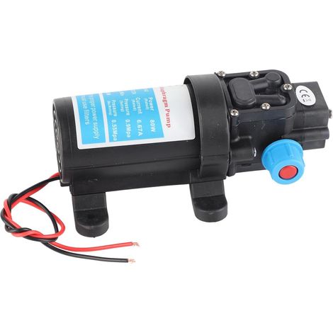1 Pompe à membrane 12V, 80W, 5,5L/min, auto-aspirante pour eau douce, industrie et nettoyage (1/5)
