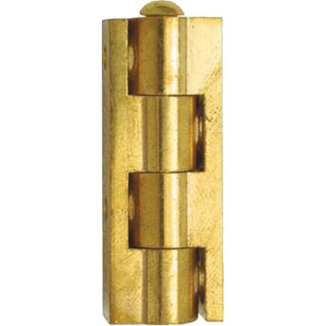 Select CUB050S10 Cerniera universale in ottone lucido 50 mm