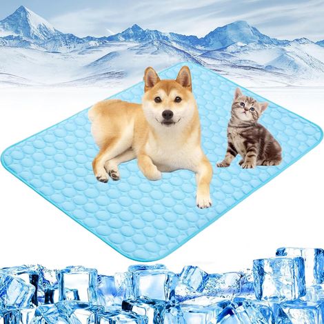 Kühlmatte für Hunde und Katzen, wiederverwendbar, ideal für den Sommer zu Hause und auf Reisen – 62 x 50 cm (1/5)