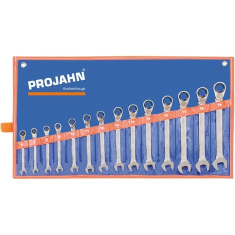 PROJAHN Trousse 14 clés à cliquet GearTech réversibles 6 à 19 mm - 3994