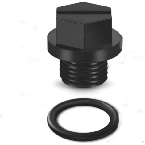 Hayward SPX1700FG Pumpenkappe mit integriertem Ablassstopfen für Poolpumpen, schwarzer Schlauchanschluss mit O-Ring (1/5)