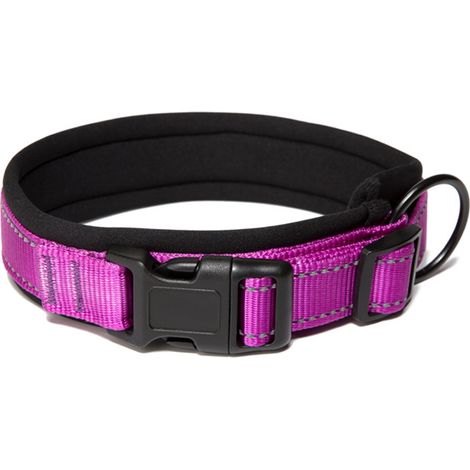Collier Pour Chien Réfléchissant - Nylon Renforcé Avec Rembourrage En Néoprène Respirant - Ajustable 17 À 26,3 Pouces - 1 Unité (1/5)
