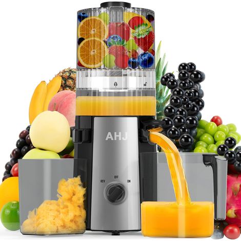 Extracteur de Jus Lent 135mm,Slow Juicer Presse-agrumes à Froid pour Fruits et Légumes Entiers, Presse-agrumes lent, Nettoyage Facile,Silencieux, Idéal pour la Famille et les Amis (1/5)