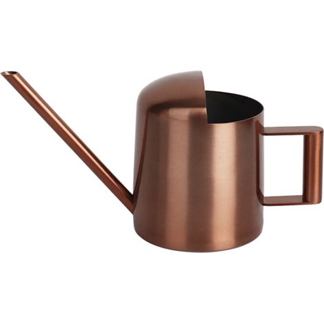 Arrosoir - Acier Inoxydable - Bec Long 10 Cm - Capacité 300 Ml - Pour Plantes D’intérieur Et D’extérieure - 1 Pièce (1/5)