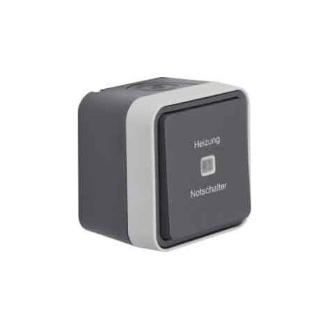 Berker 35663505 Interruttore di controllo Grigio Chiaro