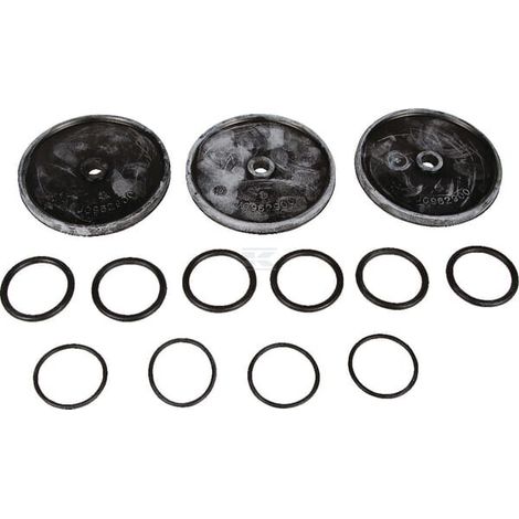 Kit membrana viton PA 330.1/430.1 BERTOLINI 039879973