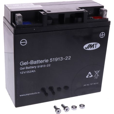 Batteria al gel JMT 51913 12V 21Ah (equivalente a Yuasa 51913)