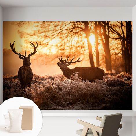 Carta Da Parati - Mural - Con Sala Da Pranzo - Camera Da Letto - Cameretta - Con Colla Gratuita Cervi al mattino 152x104 cm (1/5)