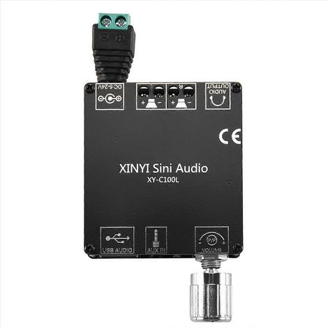 XY-C100L HiFi 100WX2 Bluetooth 5.0 Haute Puissance Numérique Stéréo (1/5)