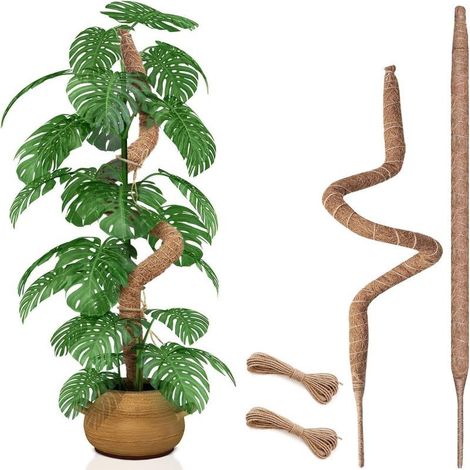 Lot de 2 tuteurs flexibles de 71 cm (28 pouces) pour plantes Monstera, tuteurs pour plantes grimpantes d'intérieur, tuteurs robustes pour grands pots de fleurs. (1/5)