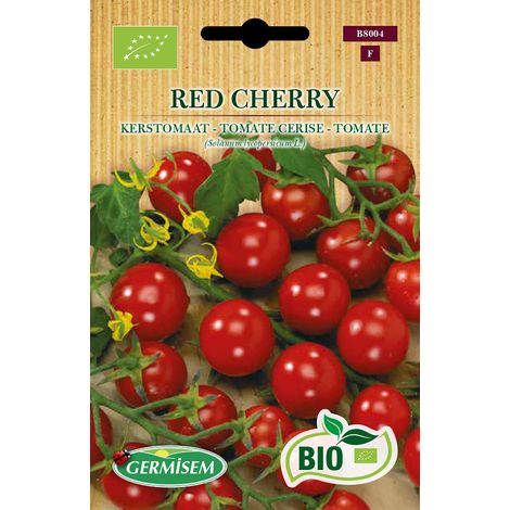 Graines Tomate cerise RED CHERRY ECBIO8004