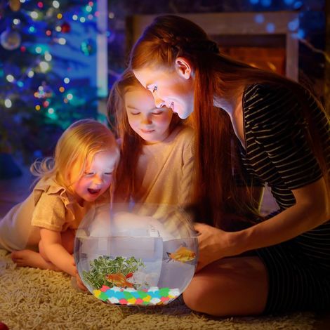 Pierres Lumineuses 100 Pièces Lumineuses Cailloux Galet Lumineux Galets Brillants Décoratifs pour Extérieur Jardin Aquarium Galets Lumineux qui Brillent Dans Noir, Couleur (1/5)