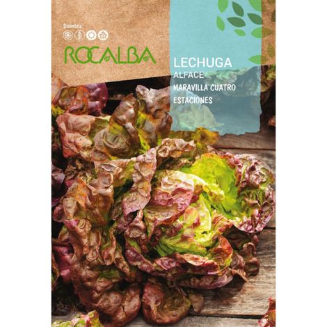 Rokalba Seeds Lecuita Maravilla 4 Stationen 10 gr