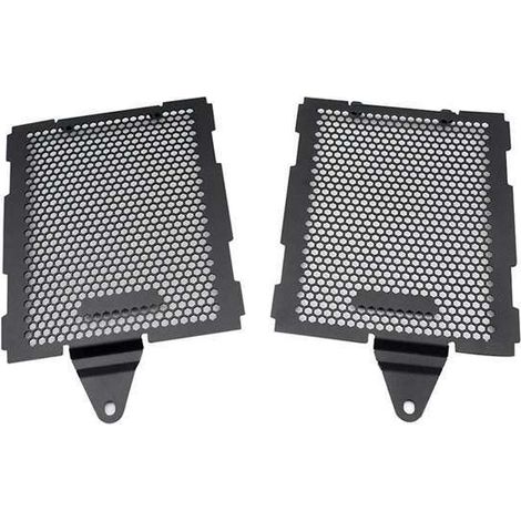 1 Paar Kühlerverkleidungen, passend für BMW R1300GS (Baujahre 23-24) (1/4)