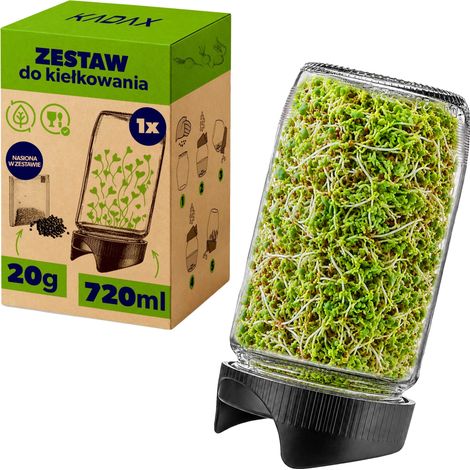 Tarro de germinación, capacidad de 720 ml, diseño angular, material de vidrio, incluye semillas de rábano, uso multiusos. (1/5)