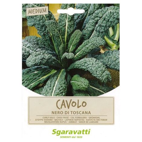 SEMI PER ORTAGGI E VEGETALI cavolo nero di Toscana